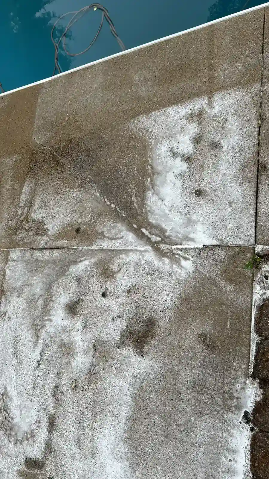 Exterior siding cleaning service in Kitchener-Waterloo Ontario