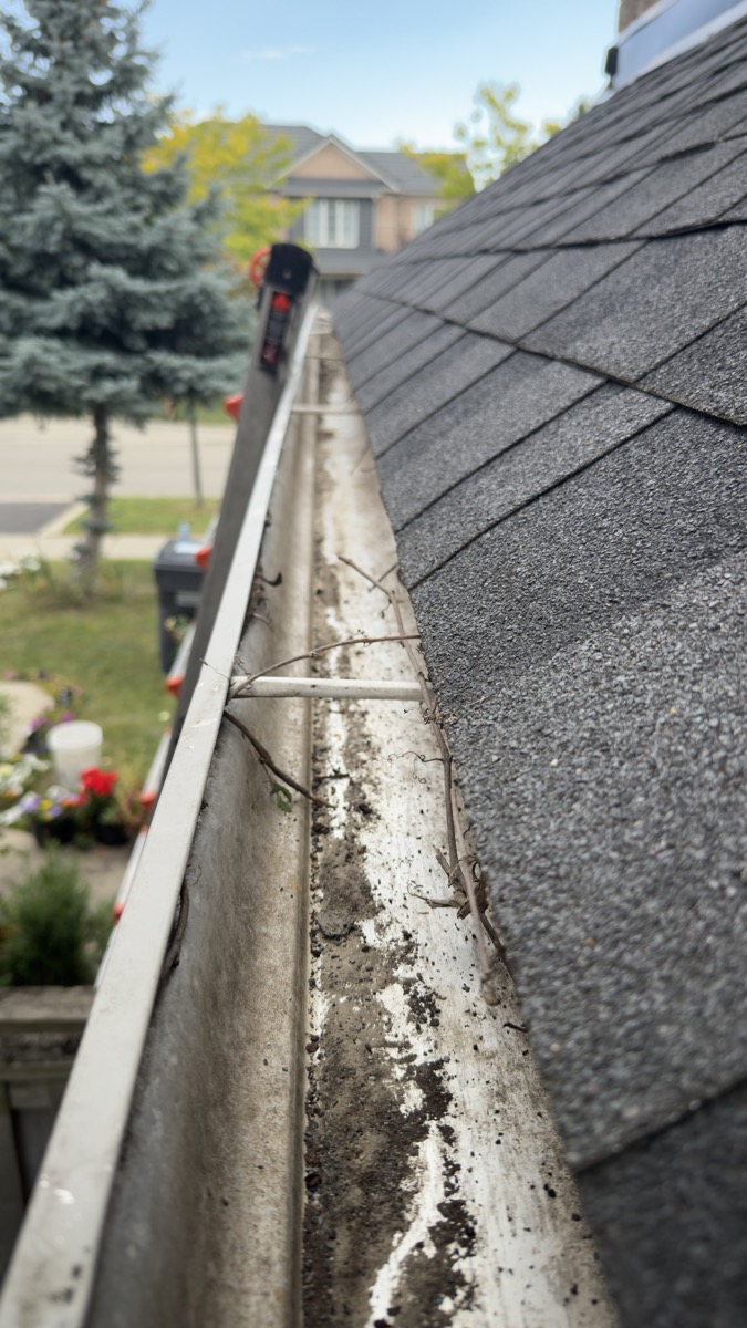 deck patio pressure washing Cambridge