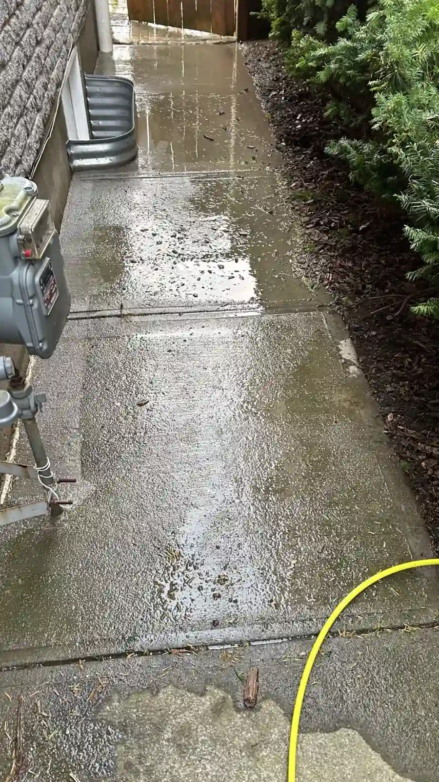Spring exterior cleaning on a home in Kitchener Ontario
